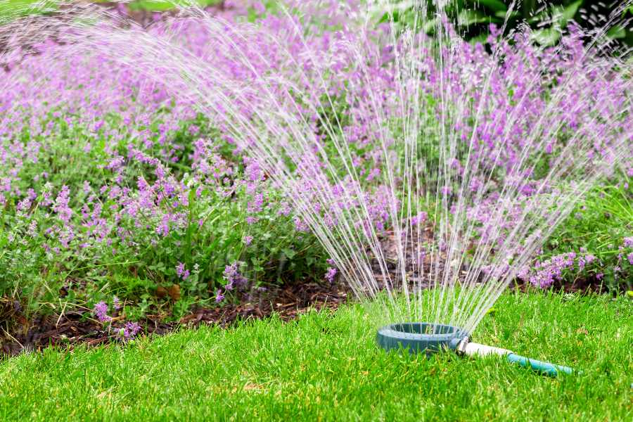 Trucchi e metodi d’irrigazione per risparmiare acqua in giardino
