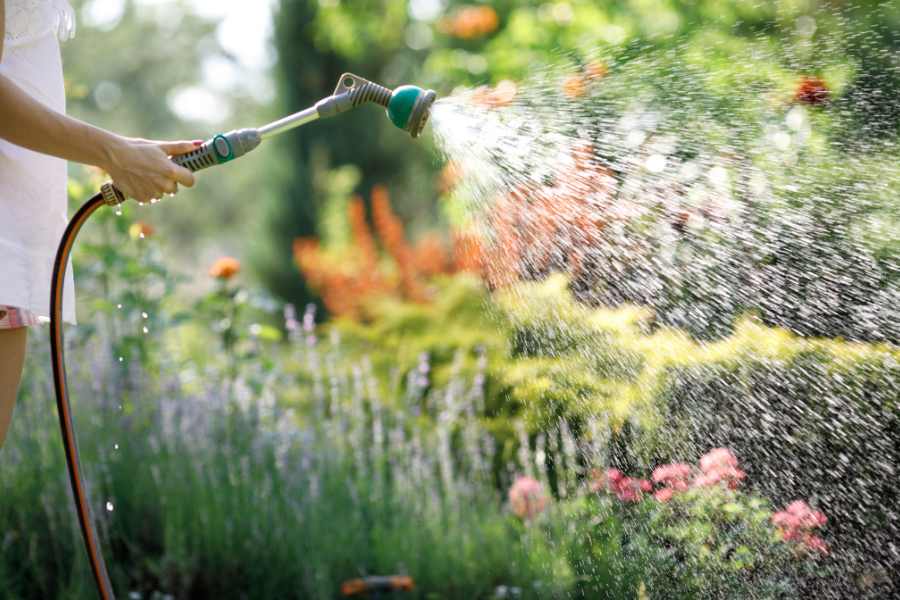 risparmiare acqua in giardino