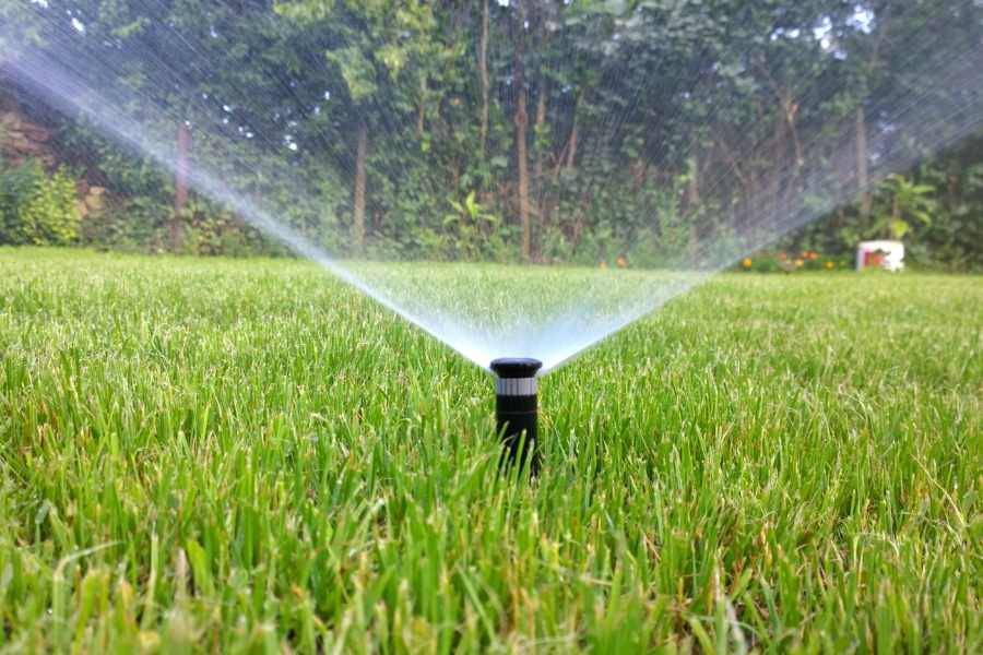 risparmiare acqua in giardino