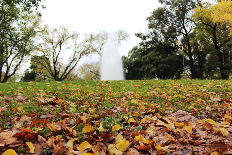 autunno in giardino