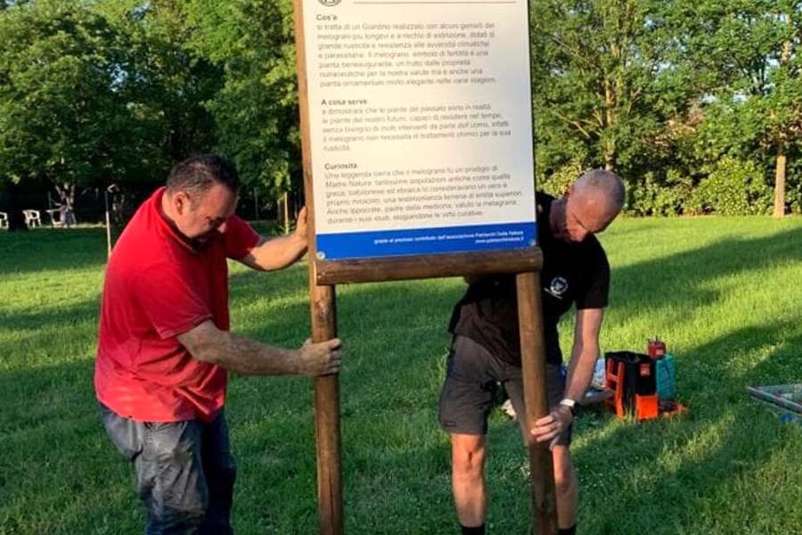 Riflettiamo sulle foreste urbane