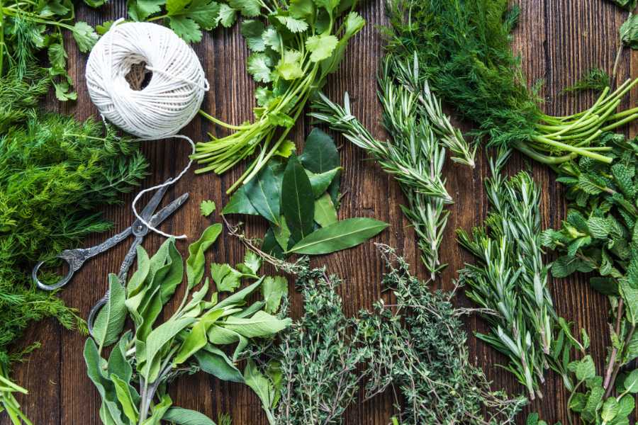 Come conservare le erbe aromatiche: i segreti del mestiere