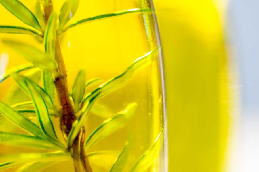 conservare le erbe aromatiche sott'olio