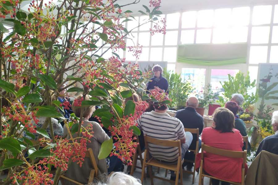  I fiori da piantare in ottobre e i lavori in giardino da fare